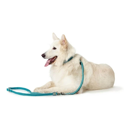 Correa para perro Hunter HILO Turquesa 200 cm