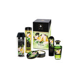 Vergnügen Kit Shunga