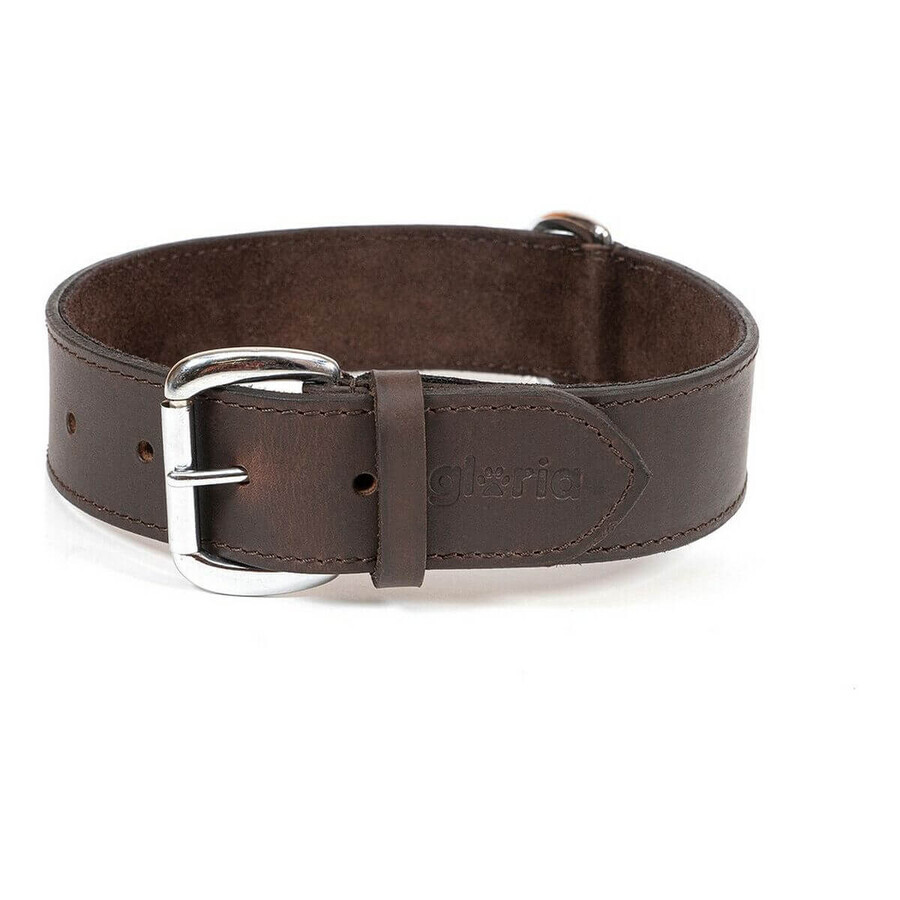 Hondenhalsband Gloria Bruin 60 cm (60 x 4 cm)