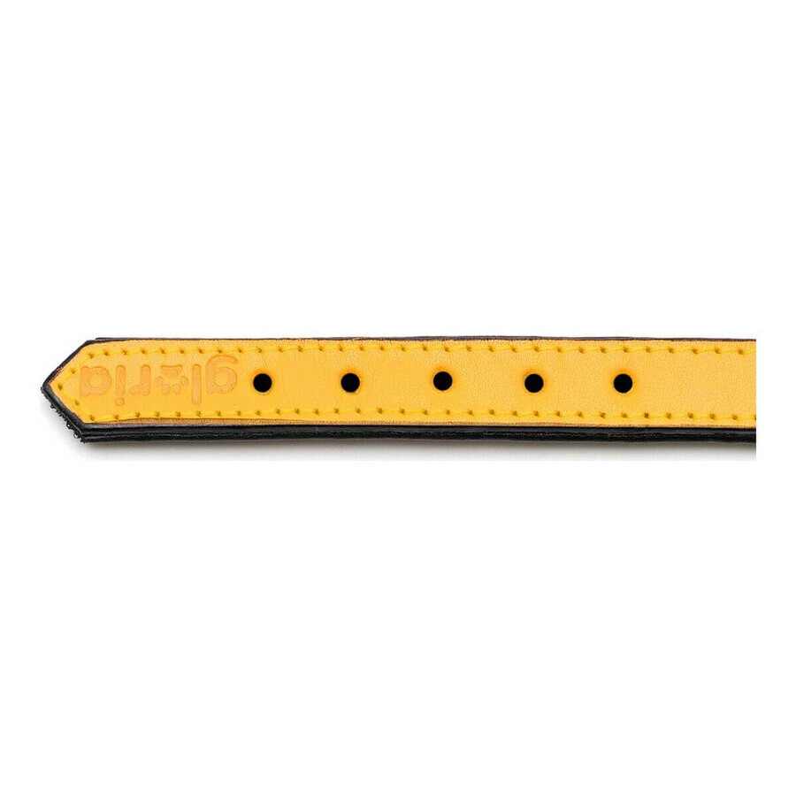 Collier pour Chien Gloria Rembourré Jaune (30 x 1,5 cm) Collier pour Chien Gloria Rembourré Jaune (30 x 1,5 cm)