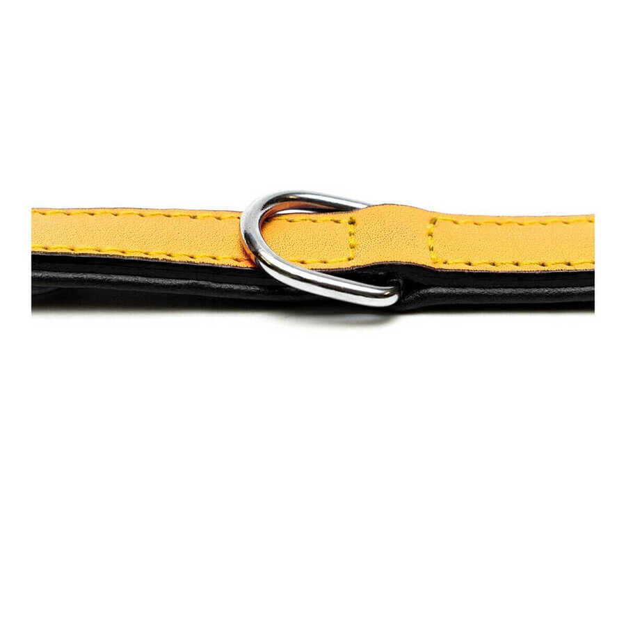 Collier pour Chien Gloria Rembourré Jaune (30 x 1,5 cm)