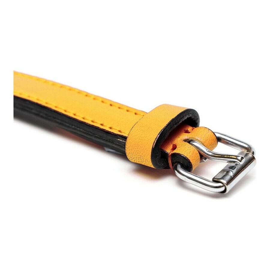 Collier pour Chien Gloria Rembourré Jaune (30 x 1,5 cm) Collier pour Chien Gloria Rembourré Jaune (30 x 1,5 cm)