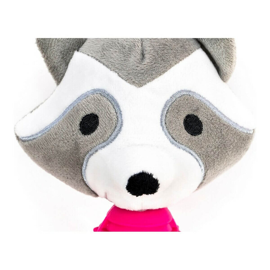Kauwspeelgoed voor honden Gloria Zar met geluid Polyester EVA-rubber Polypropyleen Wasbeer Kauwspeelgoed voor honden Gloria Zar met geluid Polyester EVA-rubber Polypropyleen Wasbeer