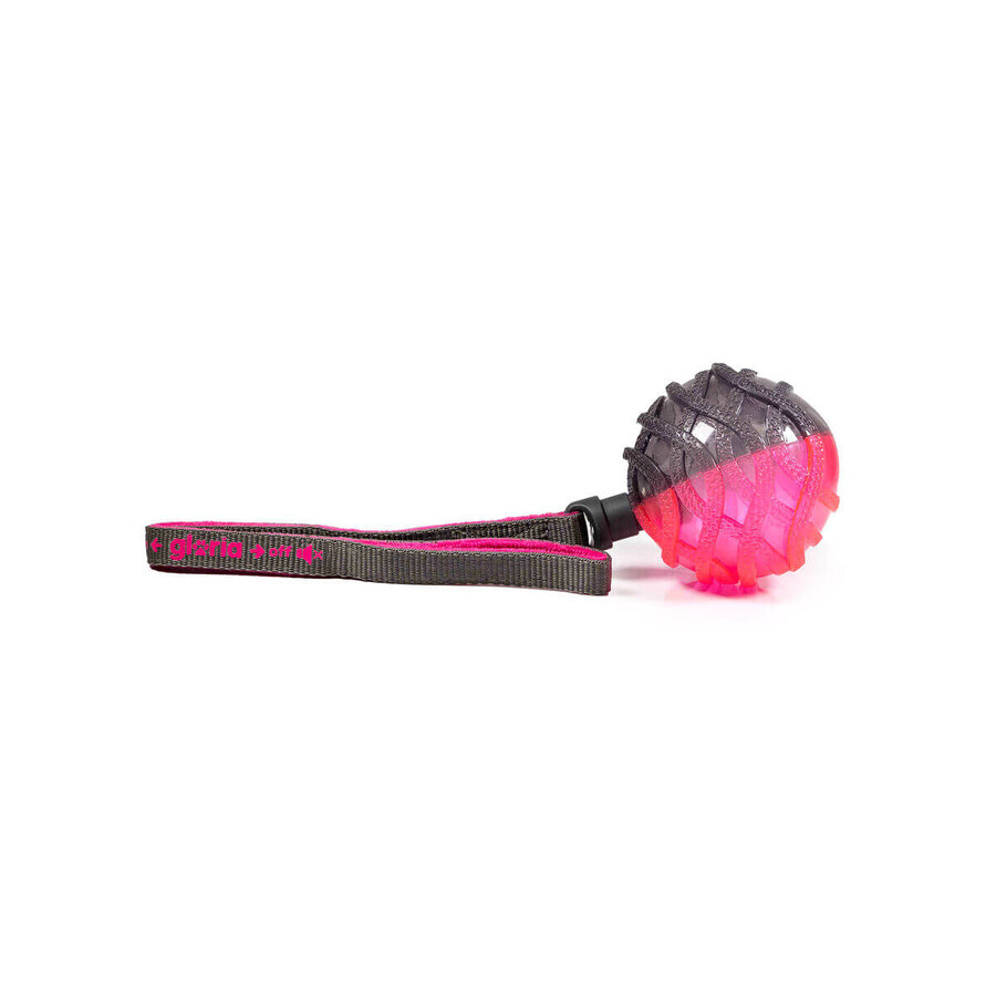 Buy Ball Launcher for Dogs Gloria Ball Launcher for Dogs Gloria