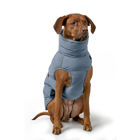 Ropa para mascotas Hunter PAXSON PAXSON Azul Poliéster Poliéster