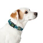 Zgardă pentru câini Hunter Vario Basic Fire Turquoise 20