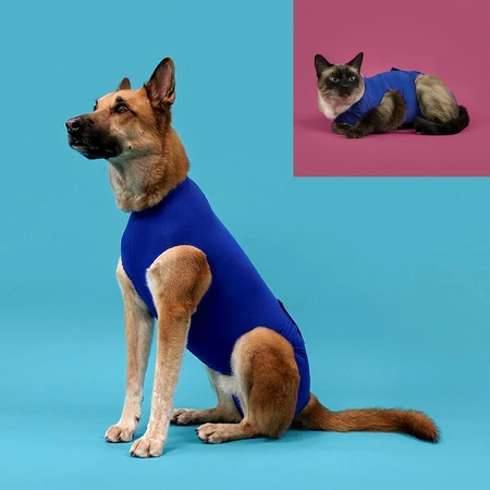 T-shirt de récupération pour animaux de compagnie KVP 21-24 cm Bleu