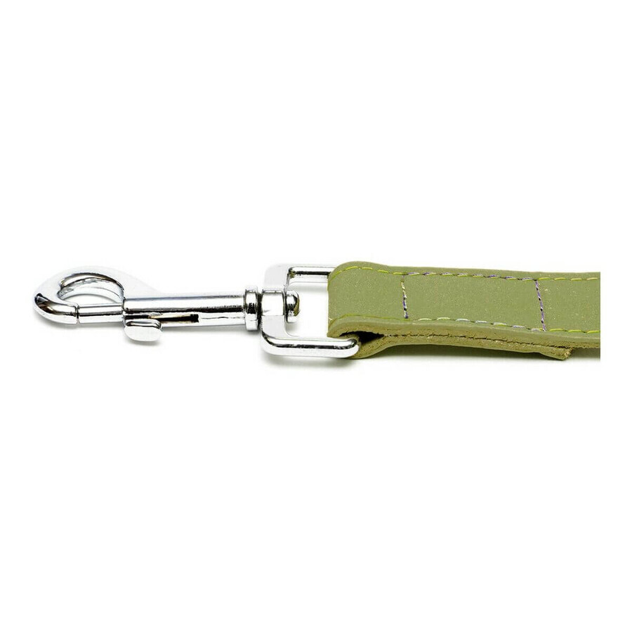 Hondenriem Gloria Oasis 2.1 x 100 cm Groen Hondenriem Gloria Oasis 2.1 x 100 cm Groen
