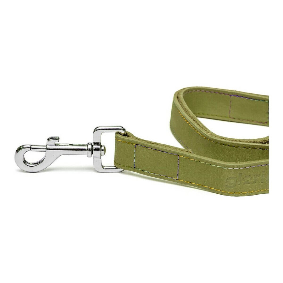Hondenriem Gloria Oasis 2.1 x 100 cm Groen Hondenriem Gloria Oasis 2.1 x 100 cm Groen