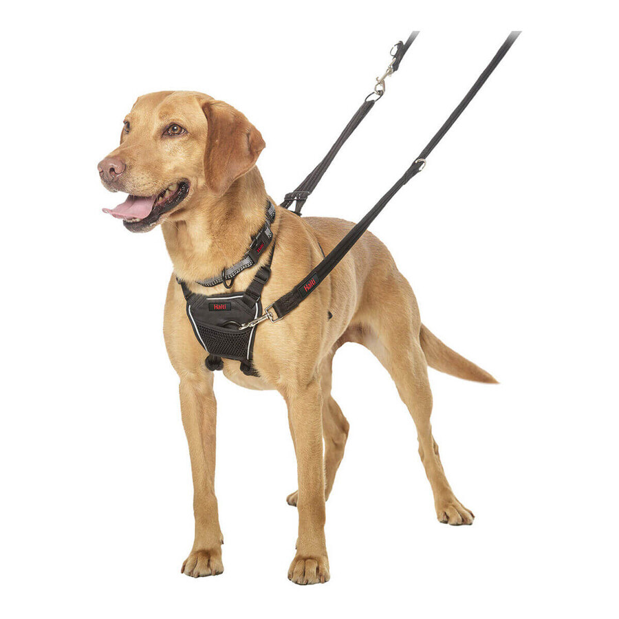 Ham pentru câini Company of Animals Halti Mărimea M (34-56 cm) Ham pentru câini Company of Animals Halti Mărimea M (34-56 cm)