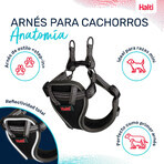 Imbracatura per Cani Company of Animals Grigio XS 28-44 cm Imbracatura per Cani Company of Animals Grigio XS 28-44 cm