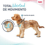 Imbracatura per Cani Company of Animals Grigio XS 28-44 cm Imbracatura per Cani Company of Animals Grigio XS 28-44 cm