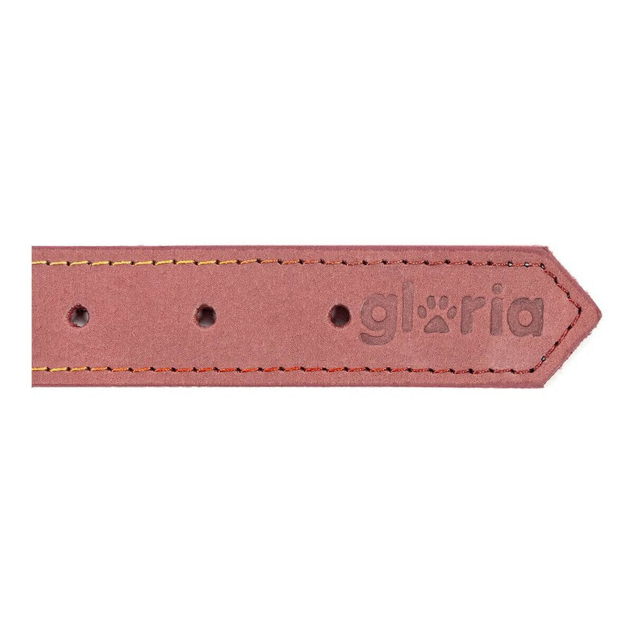 Hondenhalsband Gloria Oasis Roze (45 x 1,8 cm) Hondenhalsband Gloria Oasis Roze (45 x 1,8 cm)