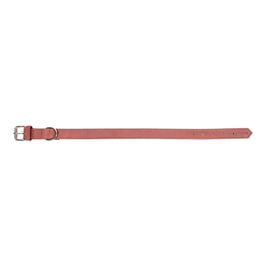 Hondenhalsband Gloria Oasis Roze (45 x 1,8 cm) Hondenhalsband Gloria Oasis Roze (45 x 1,8 cm)