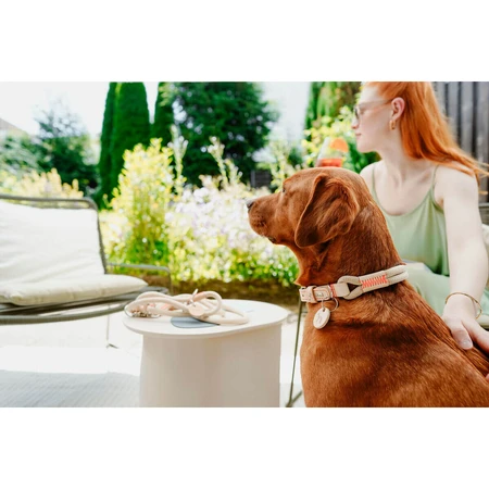 Laisse pour Chien Hunter MALIA Beige 1 x 200 cm