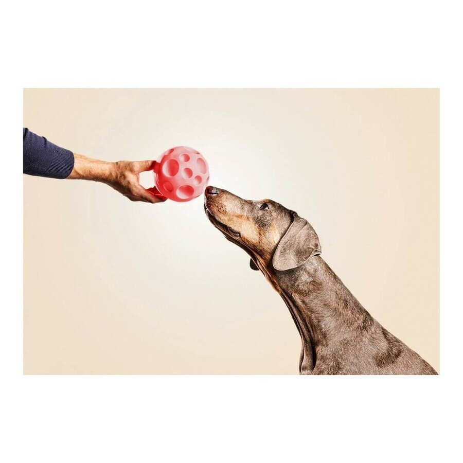 Jucărie pentru câini Gloria Dozator Bomboane Gumă (12 cm) Jucărie pentru câini Gloria Dozator Bomboane Gumă (12 cm)