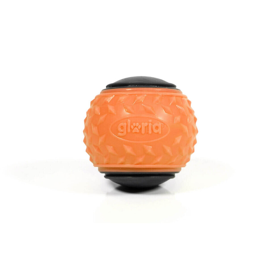 Minge pentru animale de companie Gloria PLAY AND RUN Portocaliu TPR M 6,35 cm 2 Unități Minge pentru animale de companie Gloria PLAY AND RUN Portocaliu TPR M 6,35 cm 2 Unități