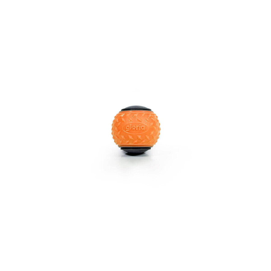 Minge pentru animale de companie Gloria PLAY AND RUN Portocaliu TPR M 6,35 cm 2 Unități Minge pentru animale de companie Gloria PLAY AND RUN Portocaliu TPR M 6,35 cm 2 Unități