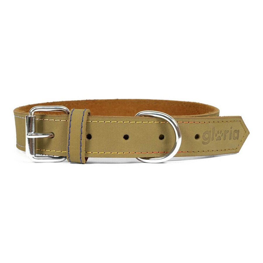 Shop Hundehalsband Gloria Oasis grün 40 cm (40 x 1,5 cm) Hundehalsband Gloria Oasis grün 40 cm (40 x 1,5 cm)