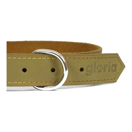 Collier pour Chien Gloria Oasis Vert (40 x 1,5 cm)
