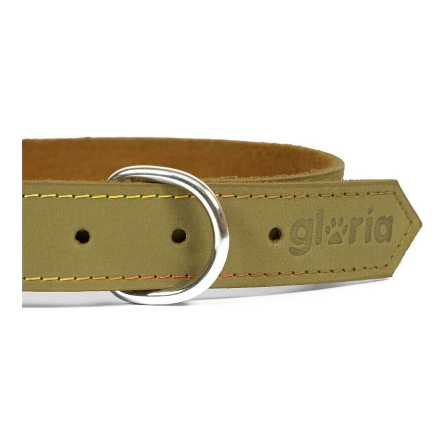 Hundehalsband Gloria Oasis grün 40 cm (40 x 1,5 cm) Hundehalsband Gloria Oasis grün 40 cm (40 x 1,5 cm)