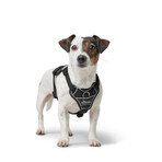 Imbracatura per Cani Hunter DIVO UP Nero S/M