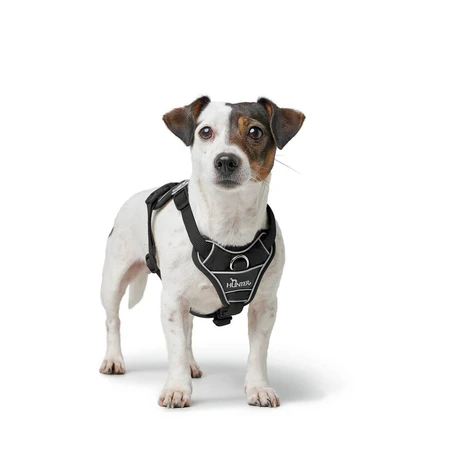 Hamaca para perros Hunter DIVO UP Negro S/M