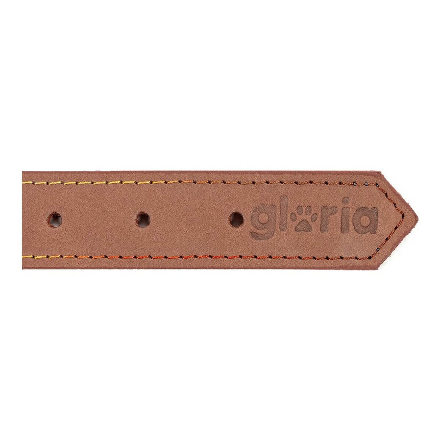 Hundehalsband Gloria Oasis 45cm Braun (45 x 1,8 cm) Hundehalsband Gloria Oasis 45cm Braun (45 x 1,8 cm)