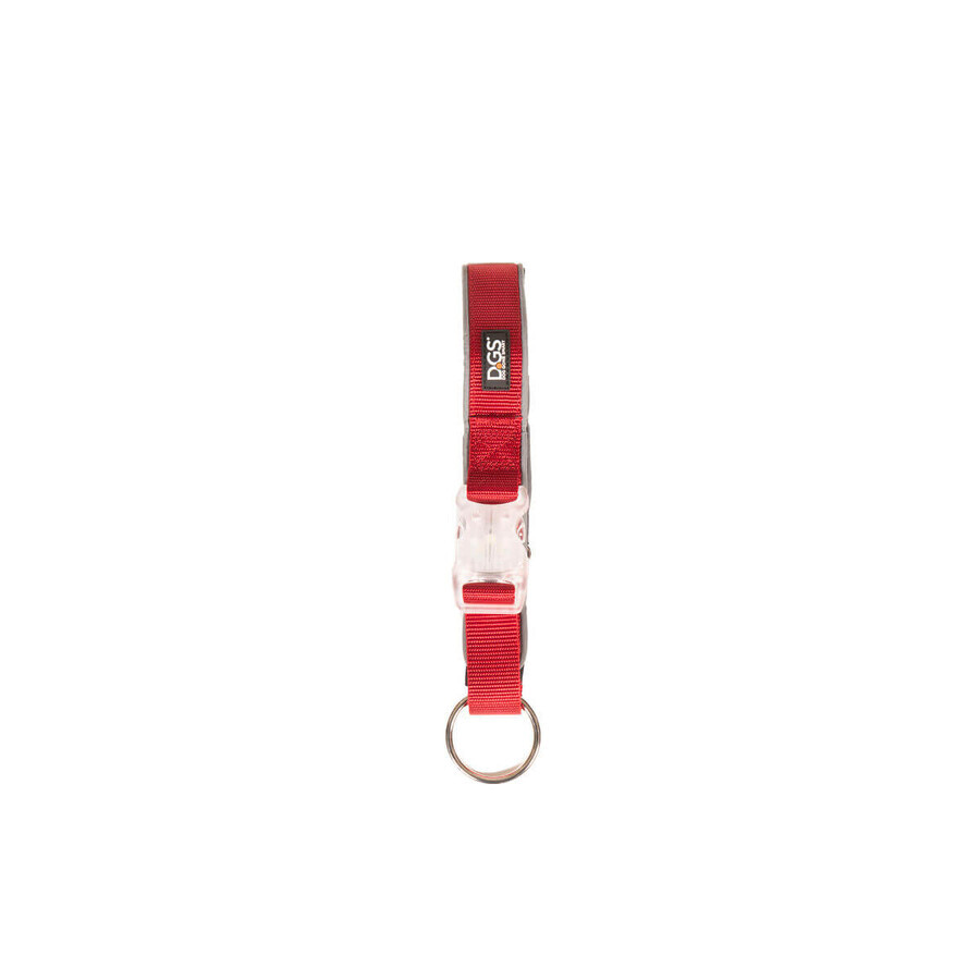 Shop Hundehalsband Dog Gone Smart Rot 20 Licht Hundehalsband Dog Gone Smart Rot 20 Licht