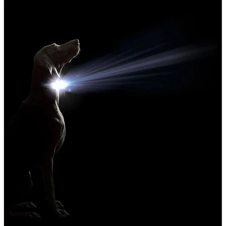Dog collar Dog Gone Smart Red 20 Light