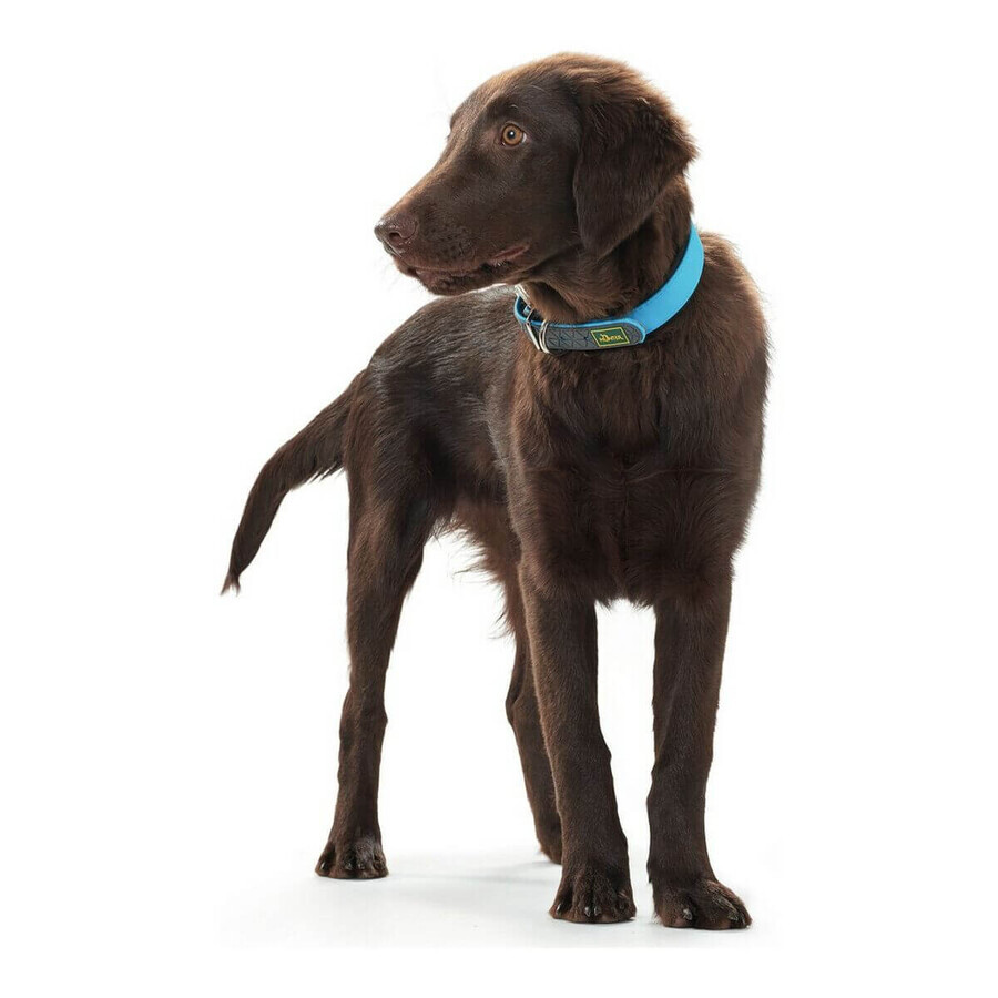 Dog collar Hunter Convenience Turquoise Dog collar Hunter Convenience Turquoise