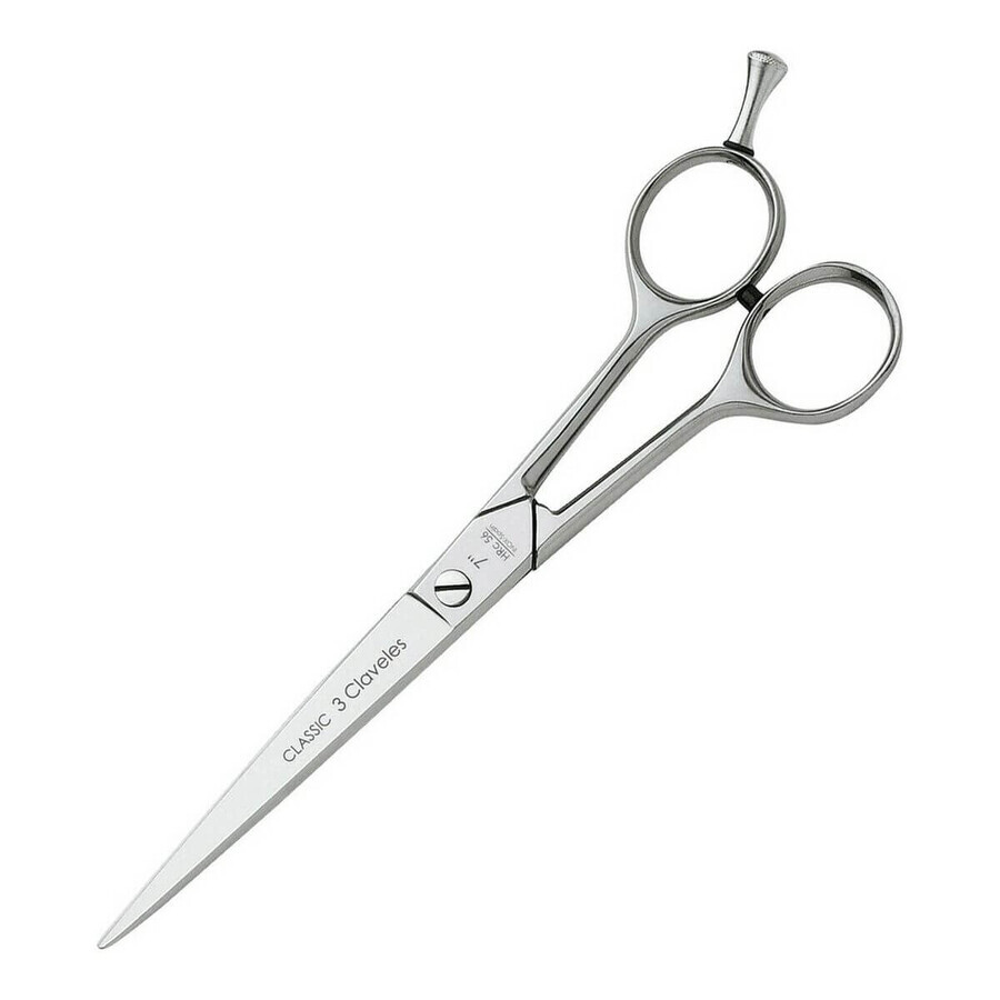 Cumpără Foarfece pentru animale de companie 3 Claveles Classic 15.5 cm (15,2 cm) Foarfece pentru animale de companie 3 Claveles Classic 15.5 cm (15,2 cm)