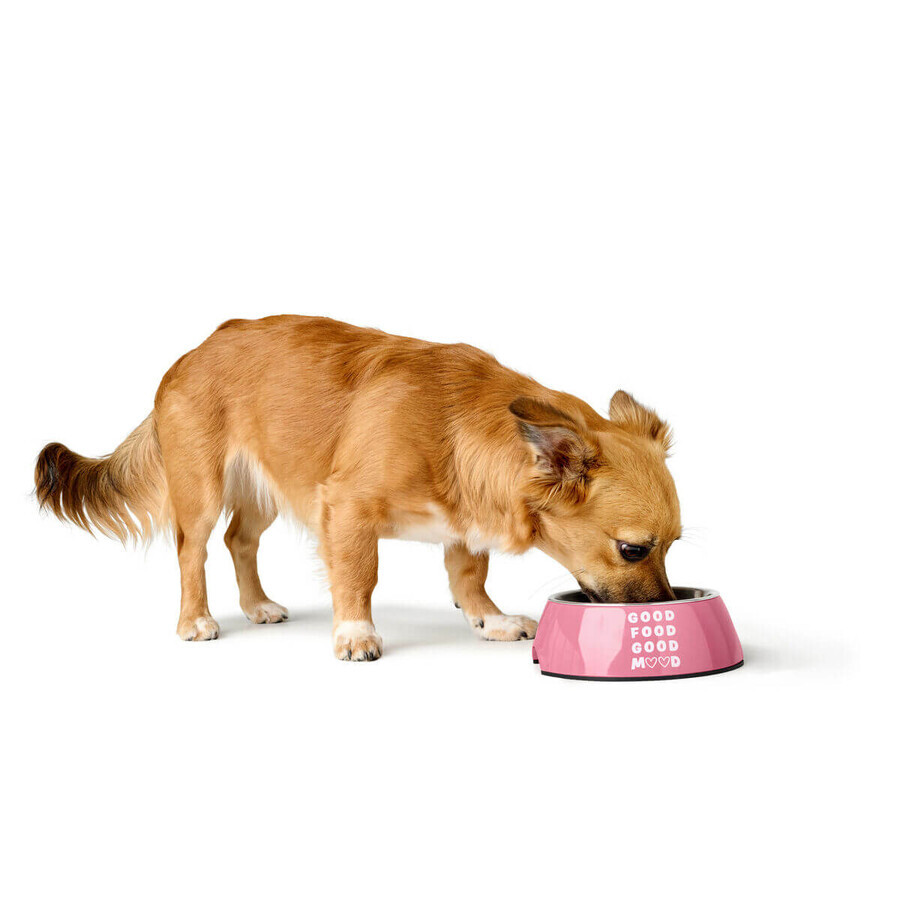 Mangeoire pour chiens Hunter CHESTER Rose 700 ml Mangeoire pour chiens Hunter CHESTER Rose 700 ml