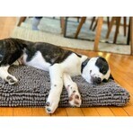 Cuccia per Cani Dog Gone Smart Grigio 58 x 91 cm Cuccia per Cani Dog Gone Smart Grigio 58 x 91 cm