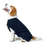 Chien Jumper Hunter Finja