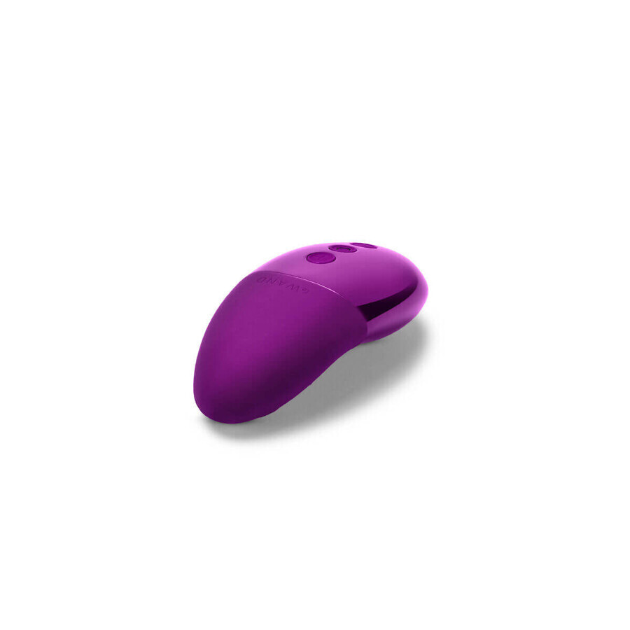 Vibrator Le Wand Point Kersen Paars