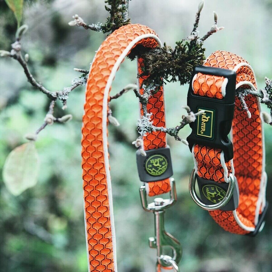 Zgardă pentru câini Hunter Basic Fir Portocaliu Mărimea M Orange (33-50 cm) Zgardă pentru câini Hunter Basic Fir Portocaliu Mărimea M Orange (33-50 cm)