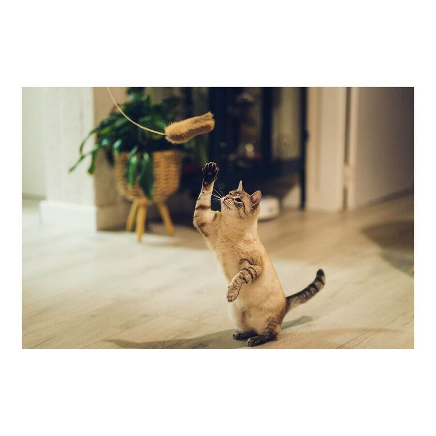 Cat wand Gloria Shigeru Wood Mouse Cat wand Gloria Shigeru Wood Mouse