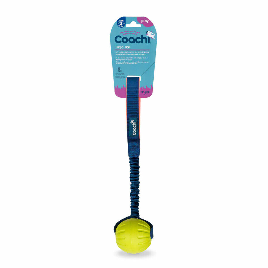 Boutique Jouet d'entraînement Coachi TUGGI BALL Bleu Jouet d'entraînement Coachi TUGGI BALL Bleu