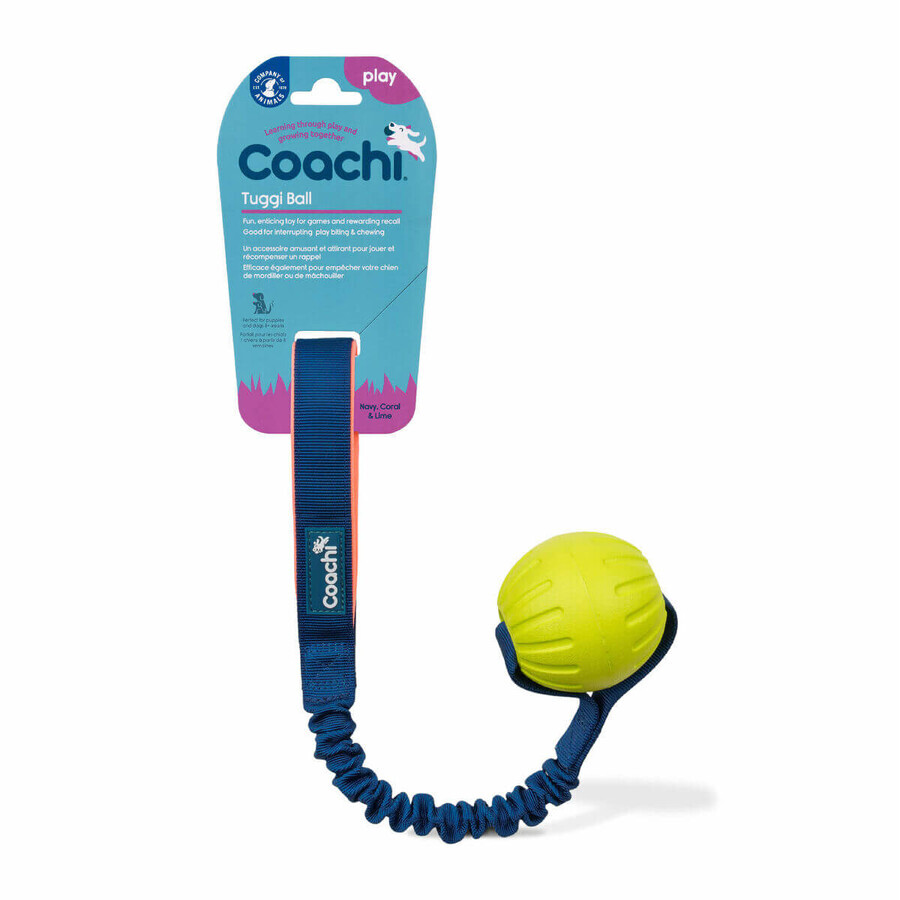 Jouet d'entraînement Coachi TUGGI BALL Bleu Jouet d'entraînement Coachi TUGGI BALL Bleu
