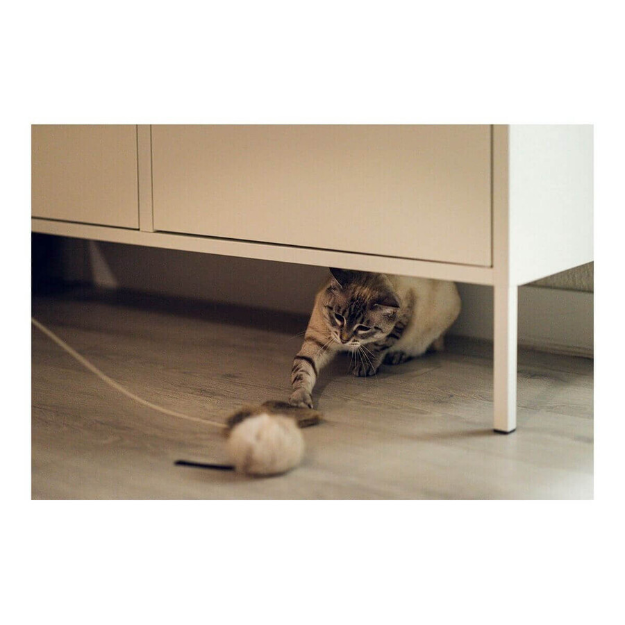 Jucărie pentru pisici Gloria Renzo Mouse Jucărie pentru pisici Gloria Renzo Mouse