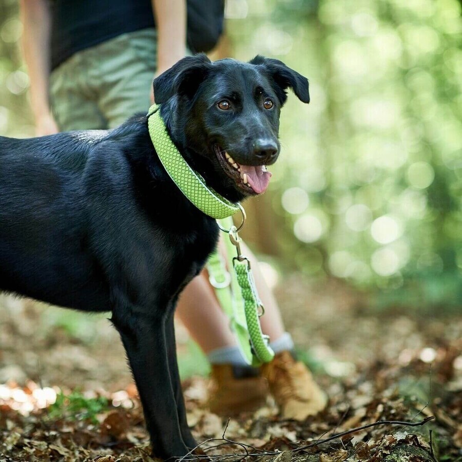 Hundehalsband Hunter Plus Thema Neongrün XL (45-70 cm) Hundehalsband Hunter Plus Thema Neongrün XL (45-70 cm)