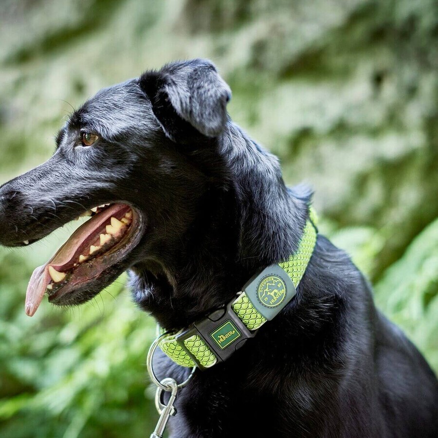 Hundehalsband Hunter Plus Thema Neongrün XL (45-70 cm) Hundehalsband Hunter Plus Thema Neongrün XL (45-70 cm)