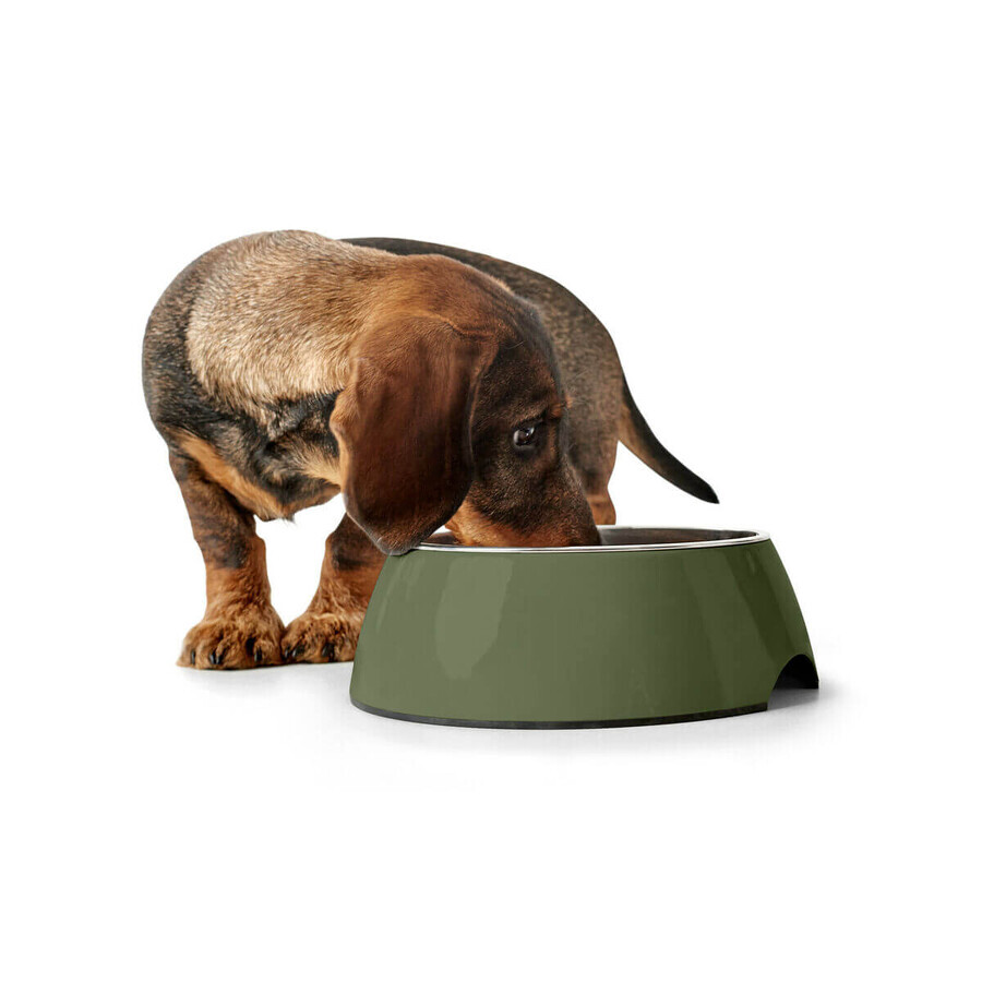 Mangeoire pour chiens Hunter Vert 350 ml