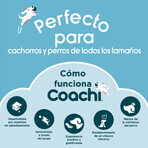 Training toy Coachi Training toy Coachi
