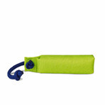 Training toy Coachi Training toy Coachi