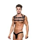 New Comers Strap Envy S/M Chest