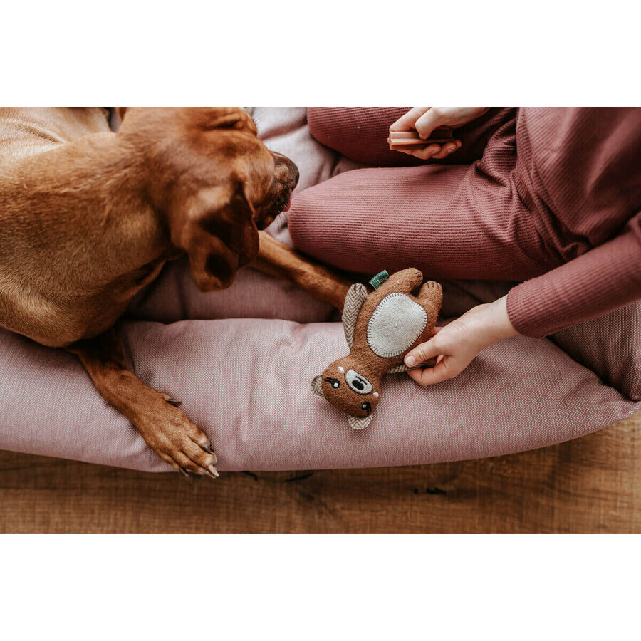 Peluche per cani Hunter Marrone 100 % Riciclato Orso Peluche per cani Hunter Marrone 100 % Riciclato Orso