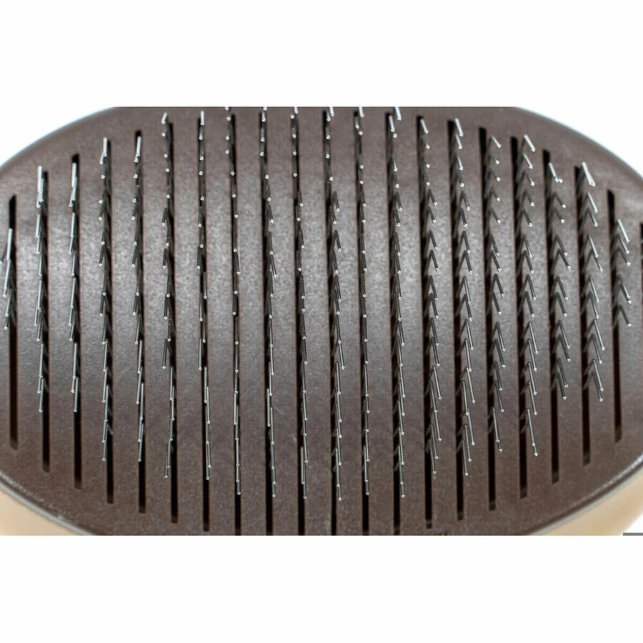 Brosse Gloria Plastique Brosse Gloria Plastique