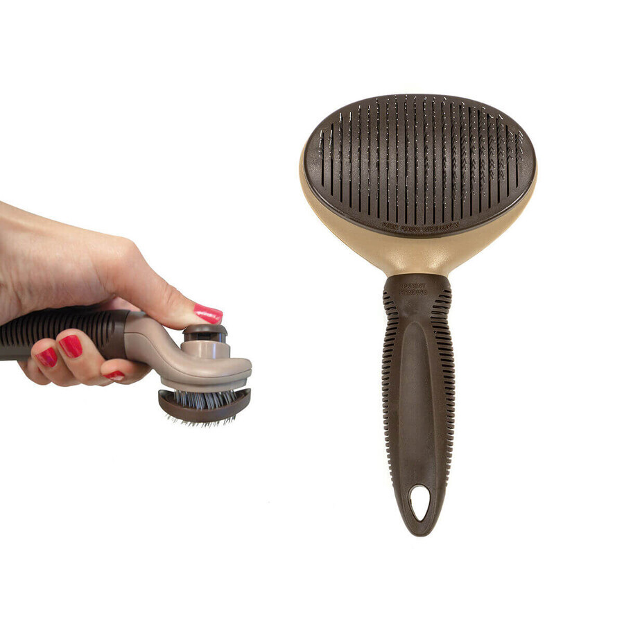 Brosse Gloria Plastique Brosse Gloria Plastique